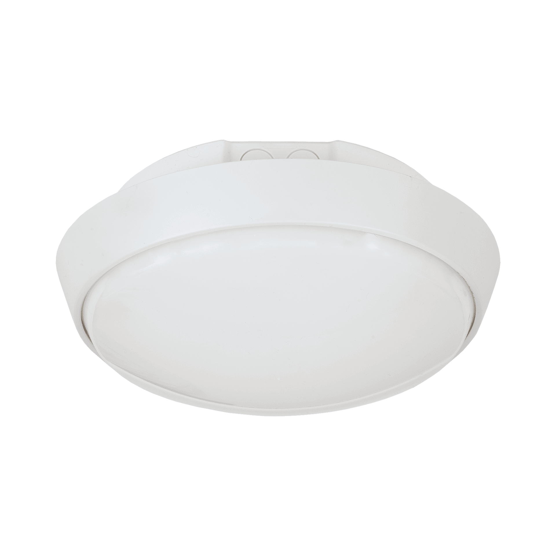 CORAL LED
