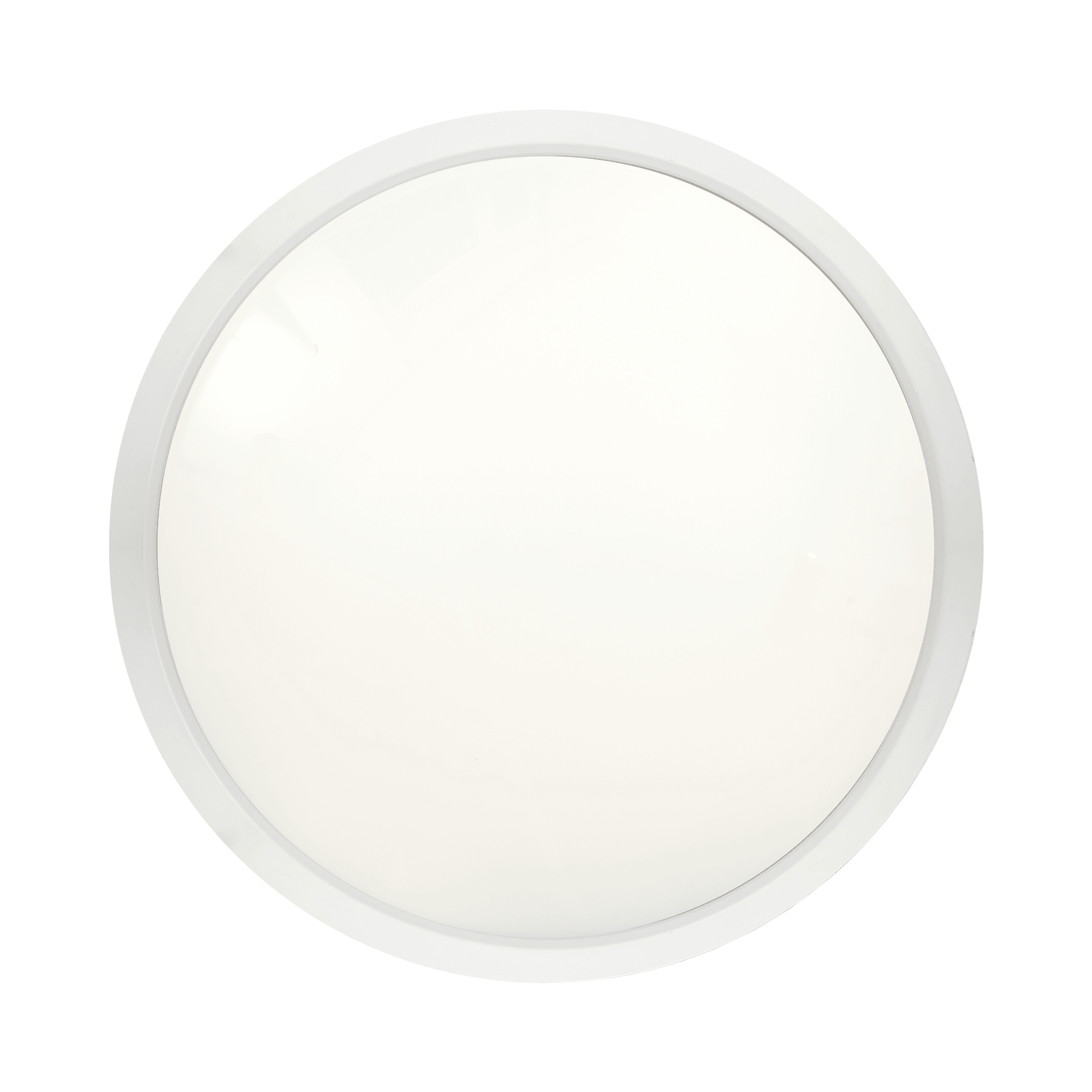 CORAL LED