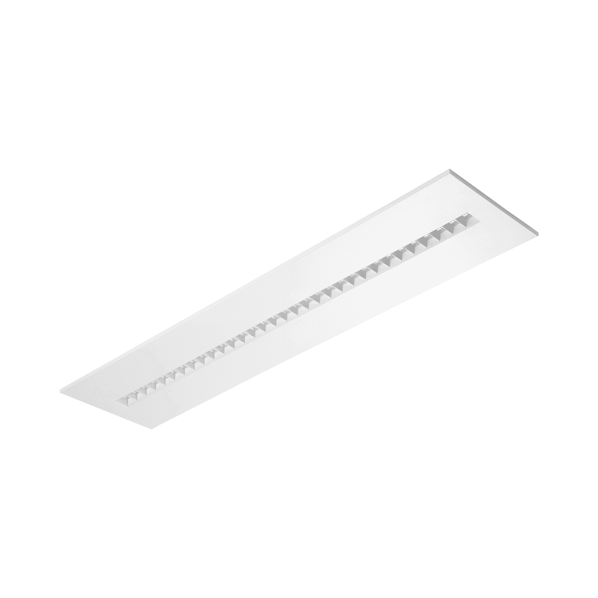 TERRA-4-P-1195-300-2X1