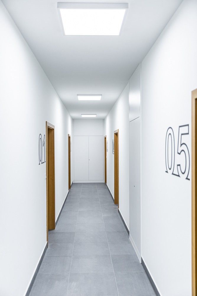 Nowe-Ptasie-korytarz