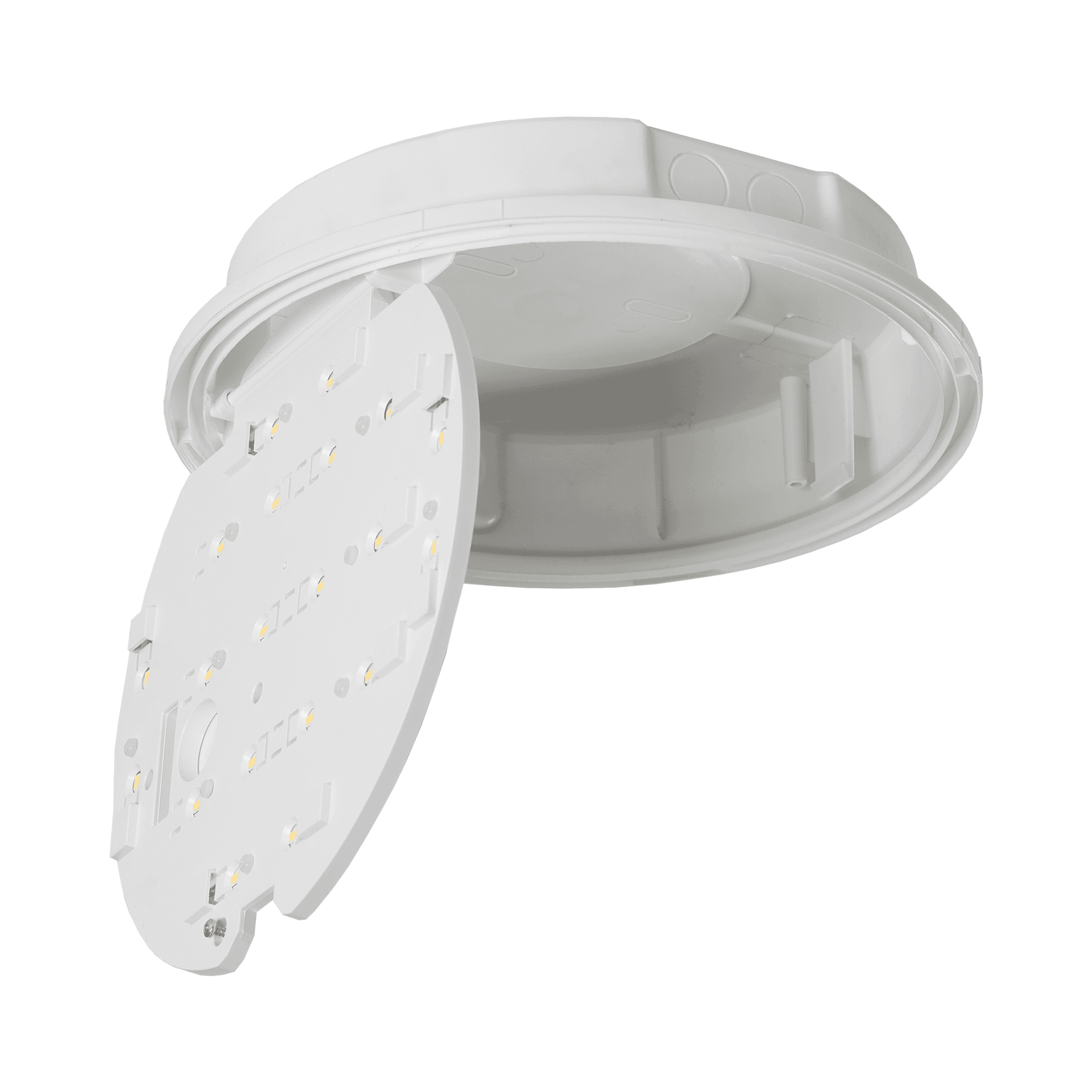 CORAL LED