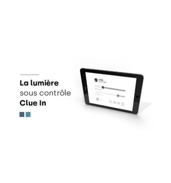 Lena Lighting- Lumière sous contrôle ClueIN 2021 Couverture