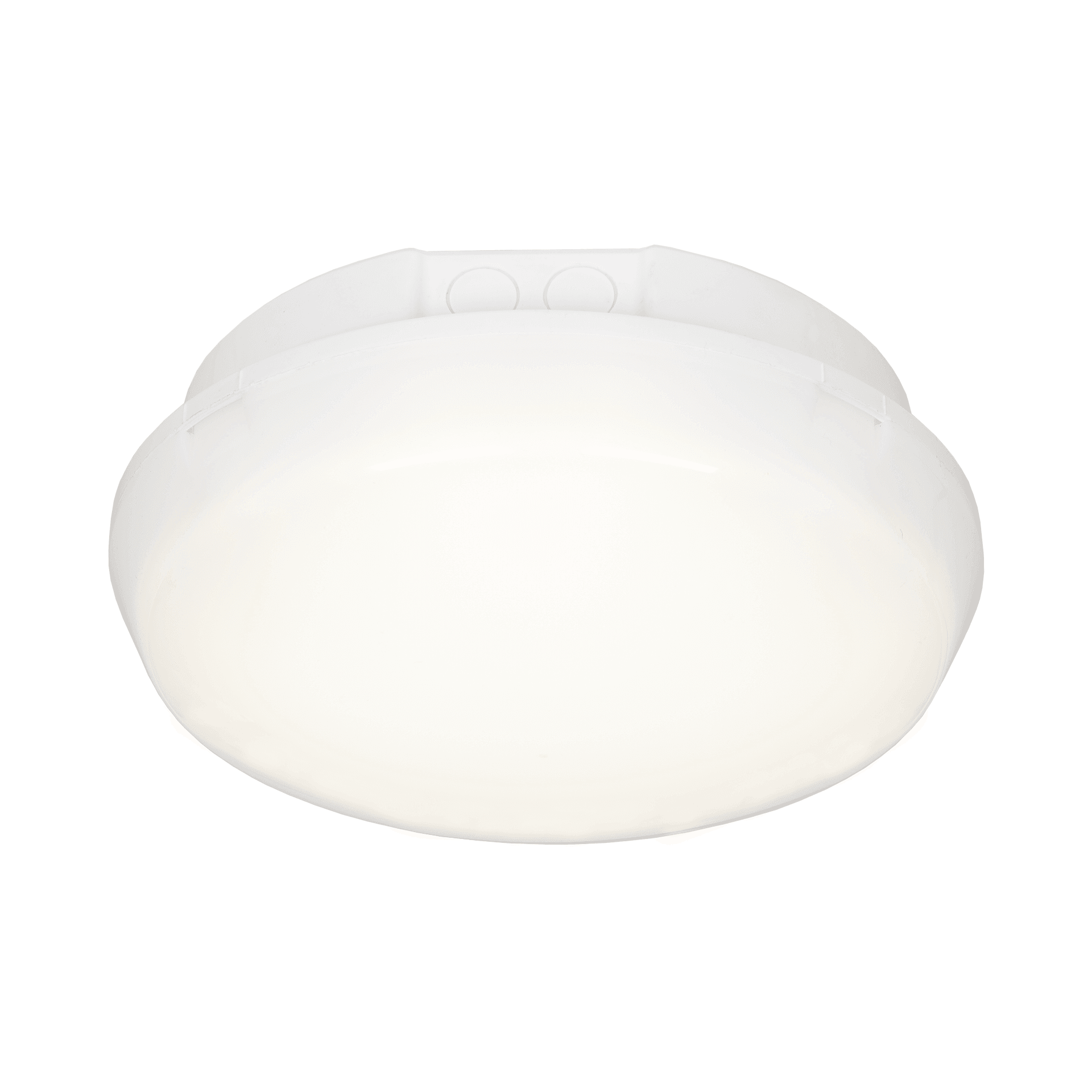 CORAL LED