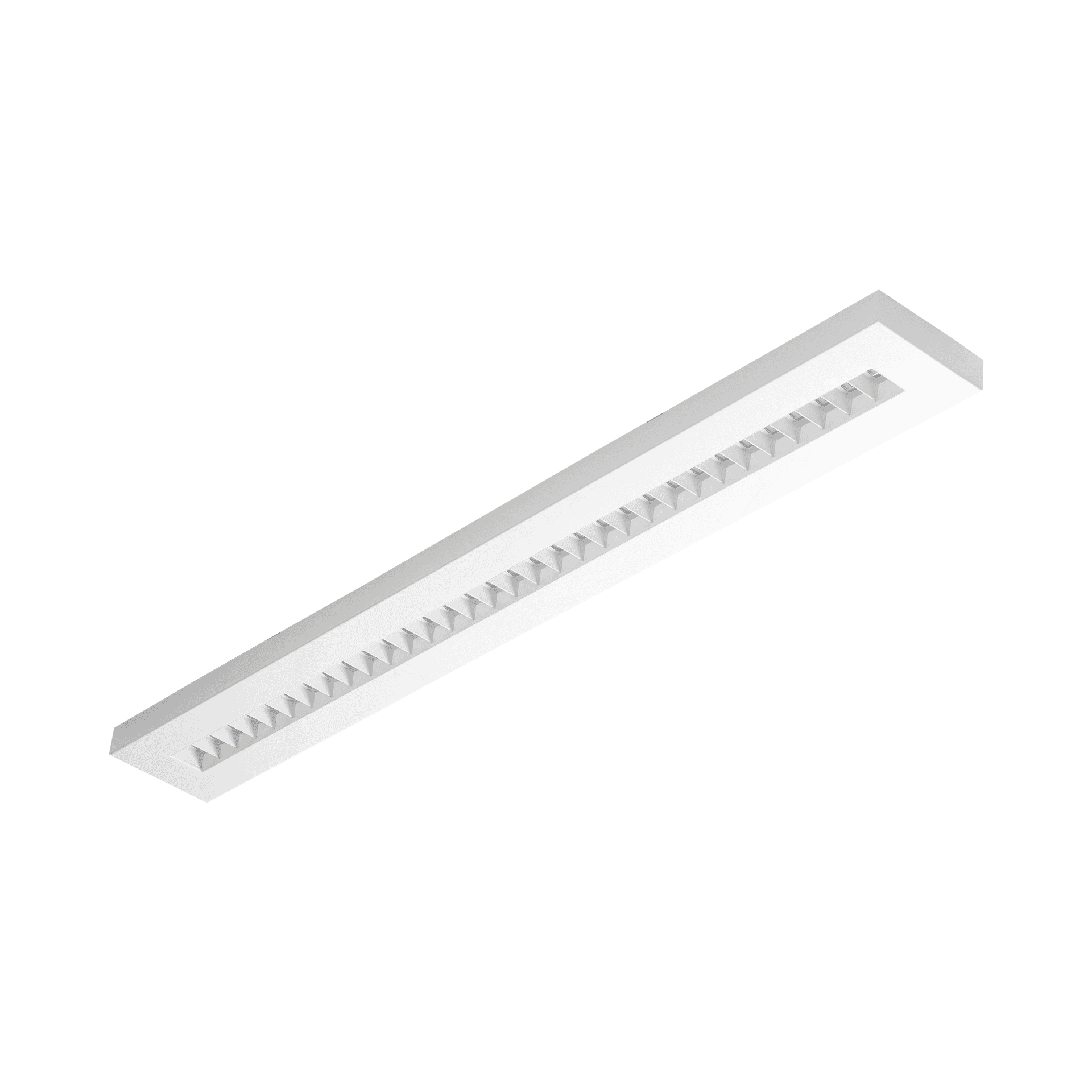 TERRA-02-N-1195-140-2X1