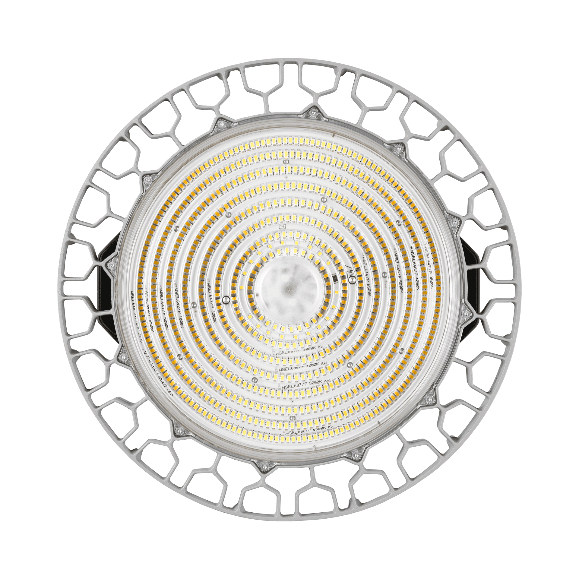 OCULUS LED