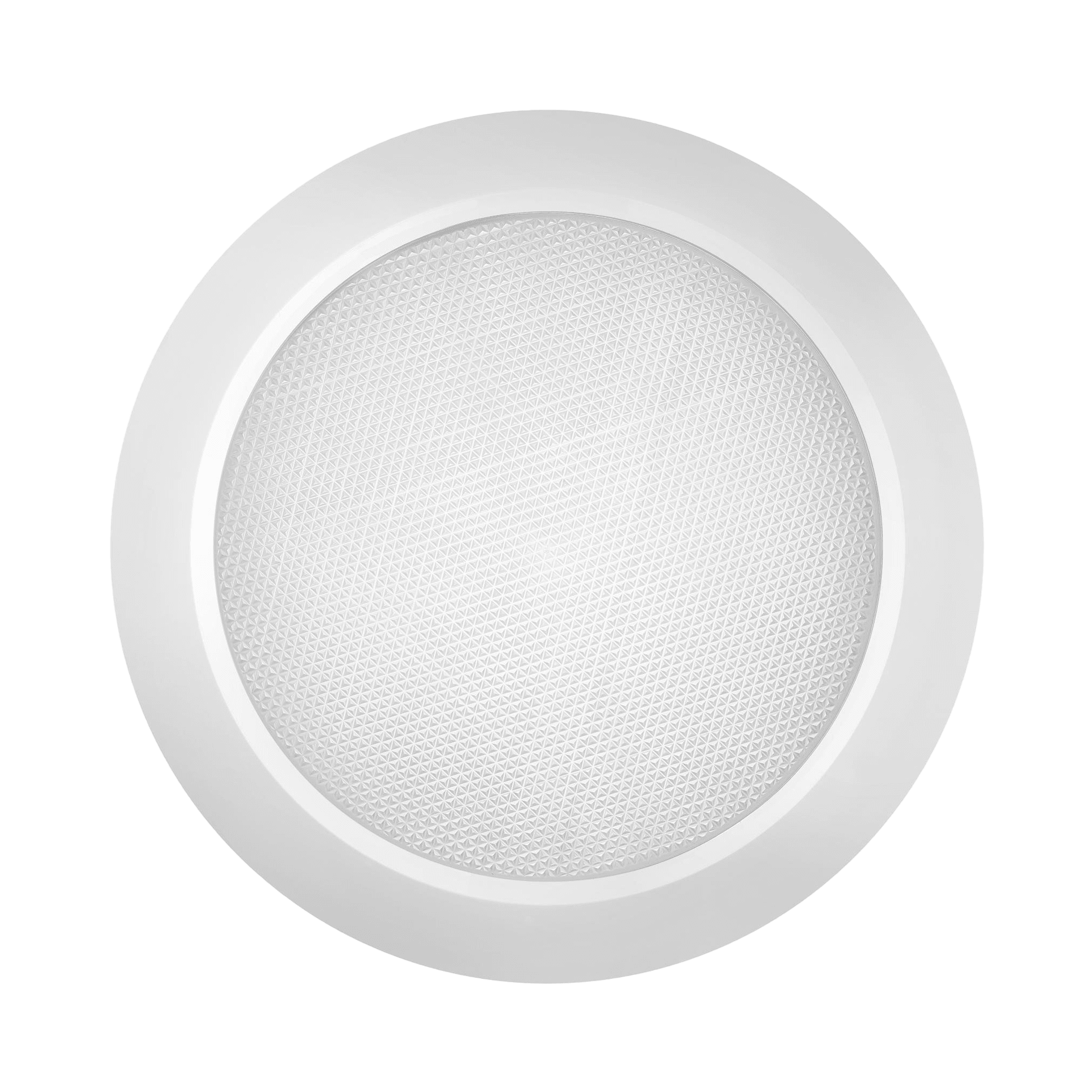 DL 220 LED Evo