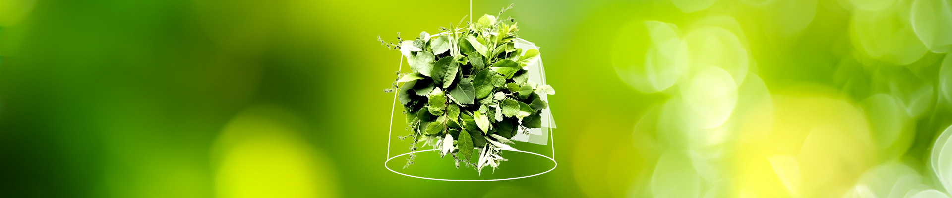 Kredyt ekologiczny – miliony złotych na rozwój firm z naszym wsparciem