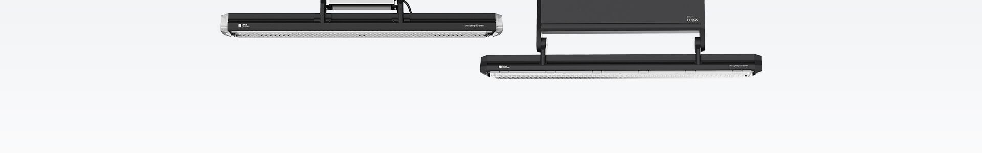 Lena Lighting- politechnika poznańska