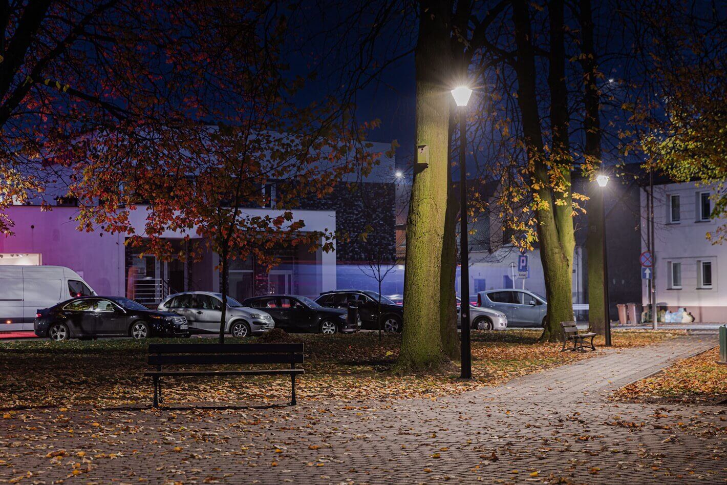 Opalenica 074
