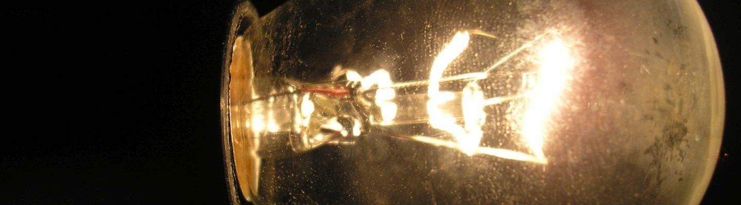 Lena Lighting ampoule électrique
